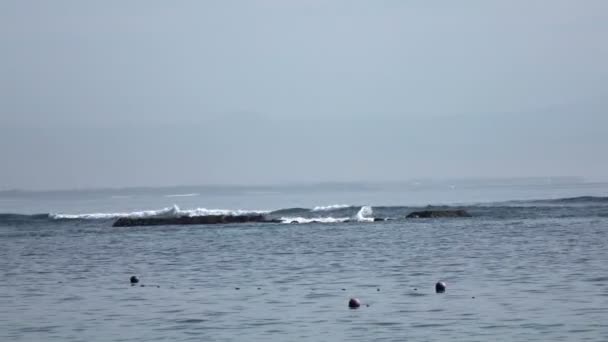 Onde del mare caldo scorrono sulla spiaggia sabbiosa del resort tropicale con ombrelloni e chaise longue — Video Stock