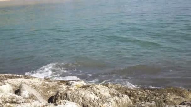 Olas del mar caliente corren en la playa de arena del complejo tropical con sombrillas y tumbonas — Vídeos de Stock