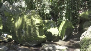 Goa Gajah ya da Fil Mağarası, Endonezya 'nın Ubud yakınlarındaki Bali adasında yer almaktadır. 9. yüzyılda inşa edildi, bir sığınak olarak hizmet verdi.