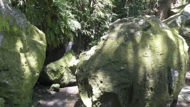 Goa Gajah, ou grotte des éléphants, est situé sur l'île de Bali près d'Ubud, en Indonésie. Construit au IXe siècle, il a servi de sanctuaire — Video