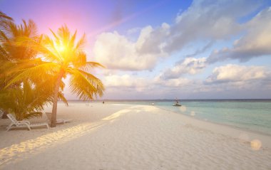 Okyanusta palmiye ağaçları olan ada.