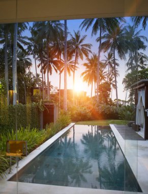 Bir gün batımı palmiye ağaçlarının altında havuzu