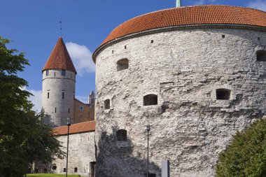 sur kuleleri, kule şişman Margarita ön planda, Tallinn, Estonya