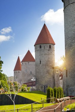 Ortaçağ kule - duvar parçası. Tallinn, Estonya
