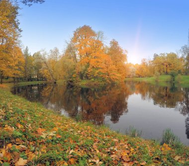 Nehir ile sonbahar park.