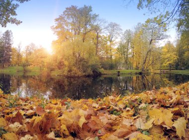 Nehir ile sonbahar park.