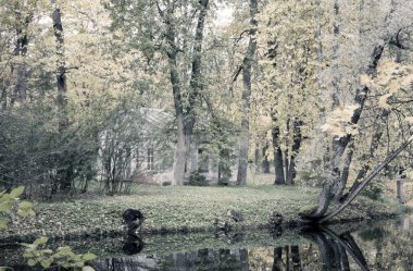 Sonbahar ağacı göle yansır, retro etkisi