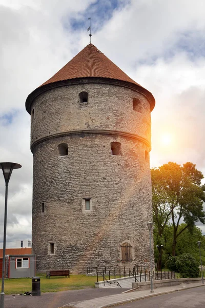 Kiek Kok Tower Old City Tallinn Estonia — Stock Photo, Image