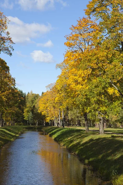 Jasne Drzewo Jesień Park — Zdjęcie stockowe