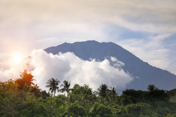 在云中的阿贡火山上 用棕榈树在丛林中欣赏风景 巴厘岛 印度尼西亚 — 图库照片