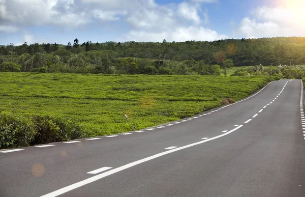 Mauritius Strada Tra Campi Verde — Foto Stock