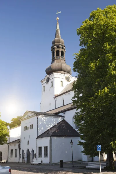 Вид Собор Mary Купол Церкви Тоомпеа Старому Таллінн Естонія — стокове фото