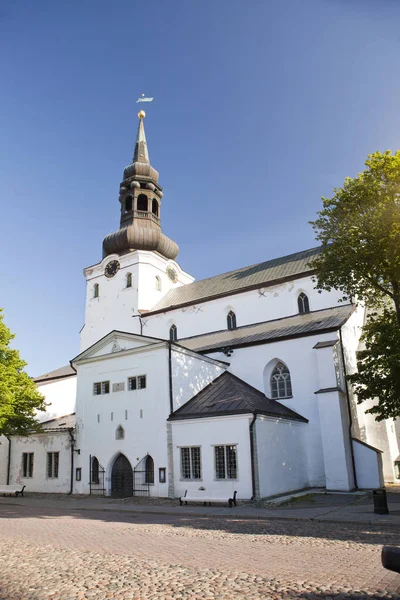 Utsikt Över Mary Cathedral Domkyrkan Domberget Gamla Tallinn Estland — Stockfoto