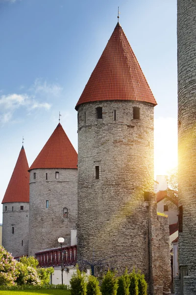 Torres Medievales Parte Muralla Ciudad Tallin Estonia —  Fotos de Stock
