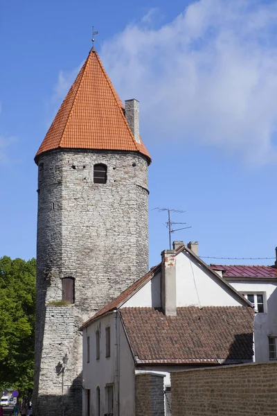 中世纪塔 城墙的一部分 塔林爱沙尼亚 — 图库照片