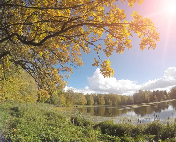 Höstens Park Med Floden — Stockfoto