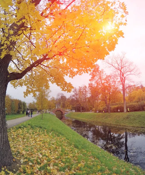 Nehir Ile Sonbahar Park — Stok fotoğraf