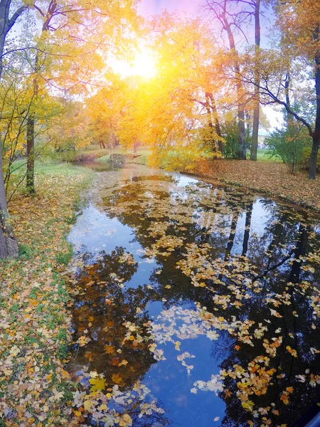 川で秋の公園 — ストック写真