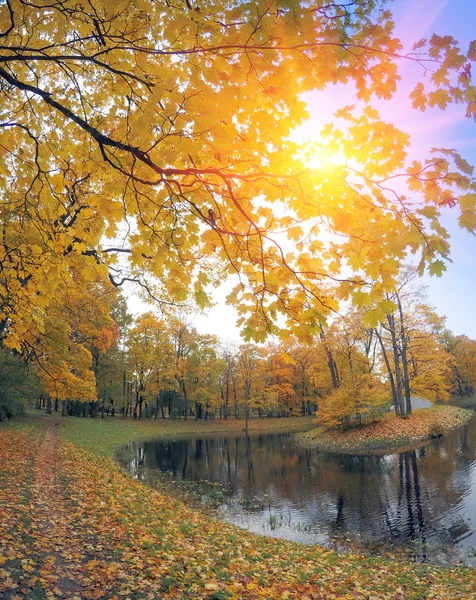 Parco Autunnale Con Fiume — Foto Stock