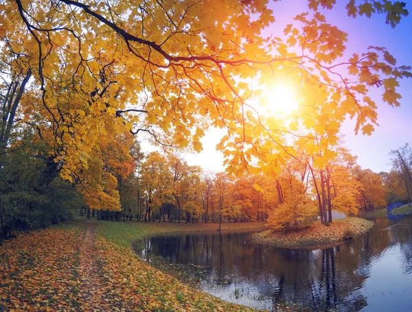 Nehir Ile Sonbahar Park — Stok fotoğraf