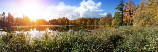 Nehir Ile Sonbahar Park — Stok fotoğraf