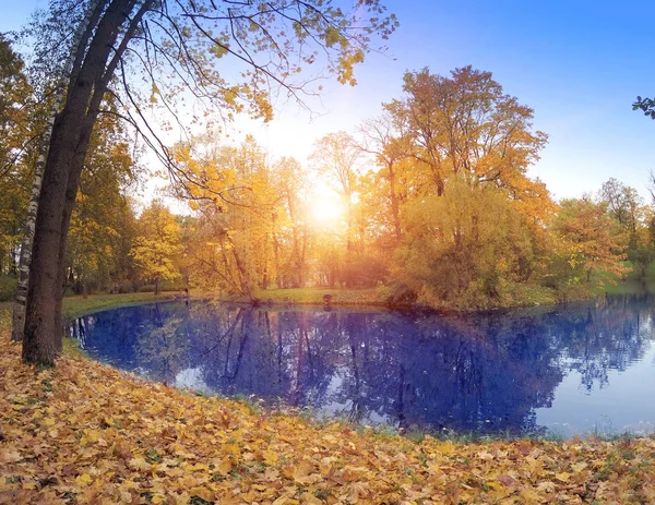 Herbstpark Mit Dem Fluss — Stockfoto