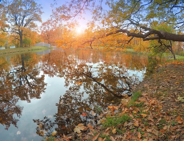 Parque Otoño Con Río —  Fotos de Stock