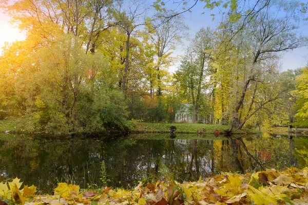 Herbstbaum Mit Hellem Laub Spiegelt Sich See — Stockfoto