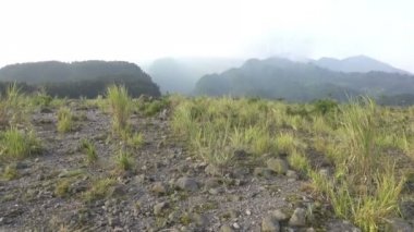 Mount Merapi, Gunung Merapi, kelimenin tam anlamıyla ateş Dağı'nı Endonezya dili içinde ve Cava, orta Java ve Yogyakarta, Endonezya arasındaki sınır üzerinde yer alan bir etkin değişken bir Stratovolkan olduğunu