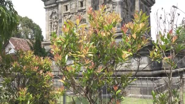 Buddyjskiej świątyni w mieście Magelang, Central Java, Indonezja — Wideo stockowe