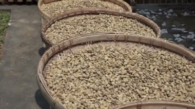Tabakları bir satır luwak kahve ahşap masa üzerinde ham fasulyeli kurur. Kopi luwak ya da misk kahve kahve dünyanın en pahalı ve düşük üretim çeşitleri biridir
