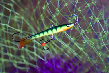 değer değişimi için bir yem balık balıkçılık net arka plan üzerinde