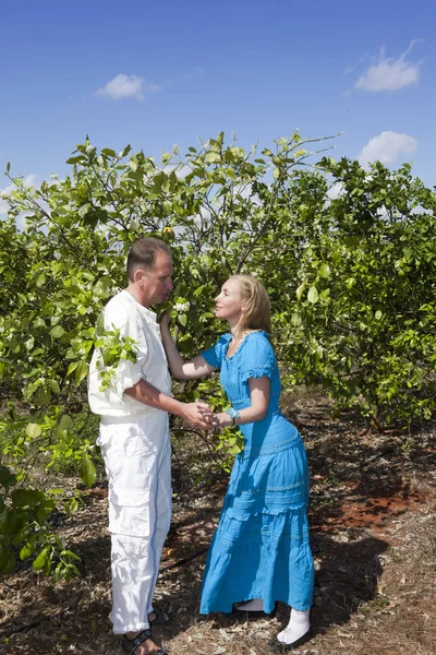 Мужчина Женщина Любящая Пара Делают Признание Любви Плантации Апельсинов Куба — стоковое фото