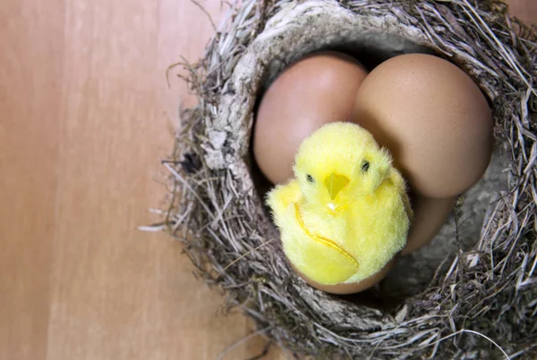 Leksak Kyckling Ett Skal Ljusa Påsk Ägg Ett Rede Med — Stockfoto