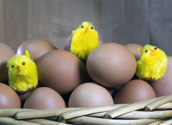 Yumurtaların Arasında Oyuncak Tavuk — Stok fotoğraf