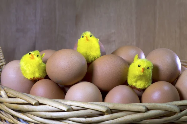 Drei Spielzeughühner Zwischen Eiern Verpackung — Stockfoto