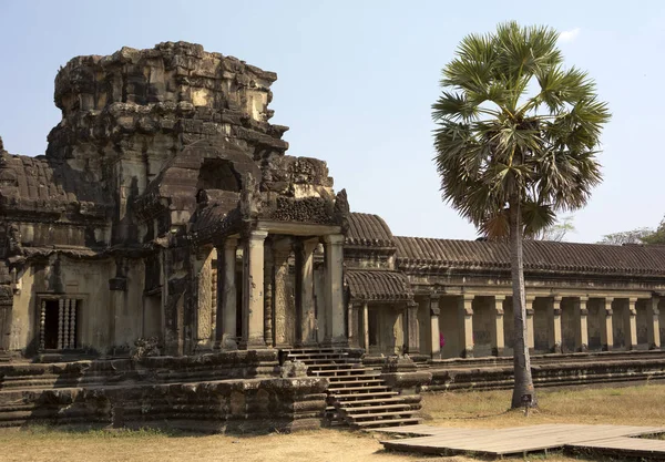 Angkor Wat Templo Siem Cosechar Cambodia —  Fotos de Stock