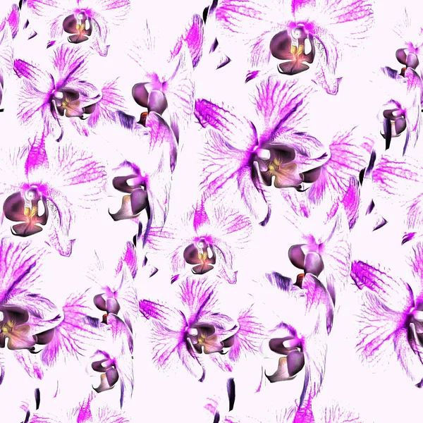 Dibujo Fondo Sin Costura Flores Orquídea — Foto de Stock