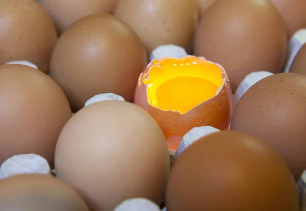 Huevos Yacen Soporte Cartón Uno Ellos Está Roto —  Fotos de Stock