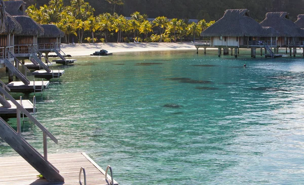 Tipico Paesaggio Polinesiano Litorale Con Palme Casette Sull Acqua — Foto Stock