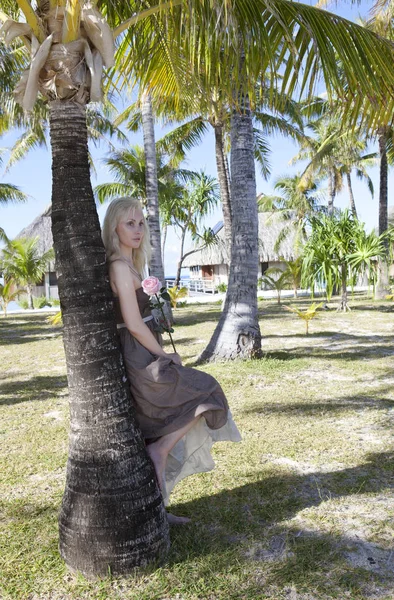 Beautiful Woman Rose Palm Tree Tahiti — Stock Photo, Image