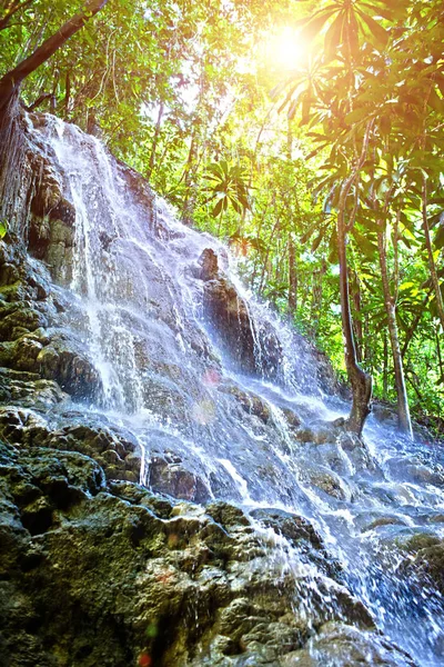 Jamaica Pequena Cachoeira Selva — Fotografia de Stock