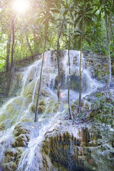 Jamaika Kleine Wasserfälle Dschungel — Stockfoto