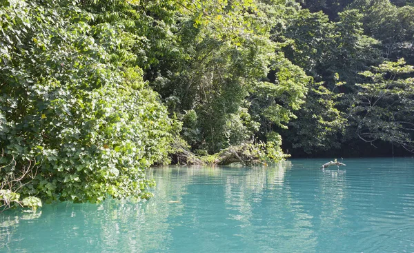 Jamaica Uma Lagoa Azul — Fotografia de Stock