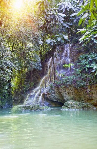 Jamaica Pequenas Cachoeiras Selva — Fotografia de Stock