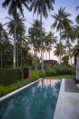 Yansıma ve palmiye ağaçlarının havuz manzaralı 