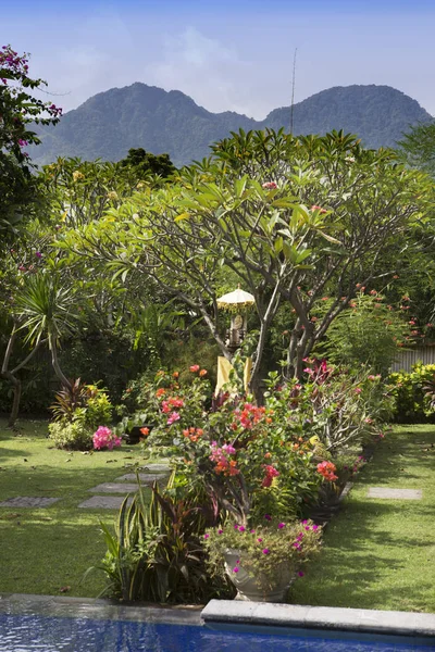 Tropisch Landschap Indonesië Bali — Stockfoto