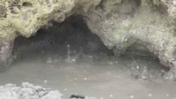 Cratera Sikidang kawah sikidang, Wonosobo, Java Central — Vídeo de Stock