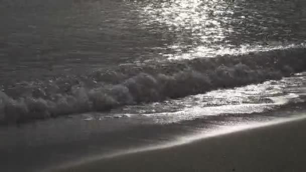 Teplé mořské vlny běžet na písečné pláži brzy ráno, — Stock video