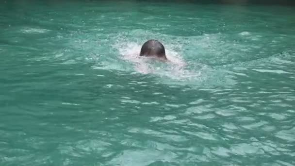 El joven deportista flota en la piscina un golpe de pecho en la cámara, .slow motion — Vídeos de Stock